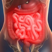 Irritable Bowel Syndrome related image